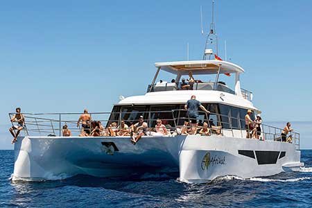 Exclusivo Catamarano Barca Mattina Gran Canaria Boat Trips 2026