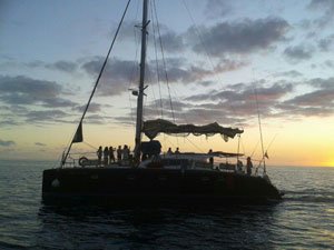 Dolphin Playa Catamarano Gran Canaria Boat Trips 2026