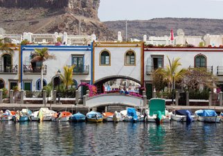Combo SuperCat avvistare Delfini mercato Puerto Mogan Gran Canaria Boat Trips 2026