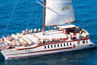 SuperCat Catamarano avvistare Delfini Balene